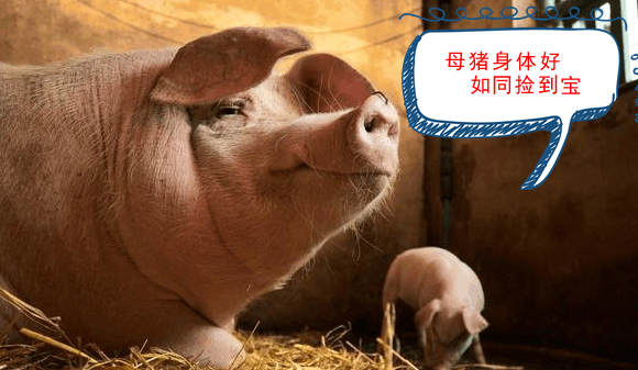 1576735004221165.png 9efe-haturft7231855.png